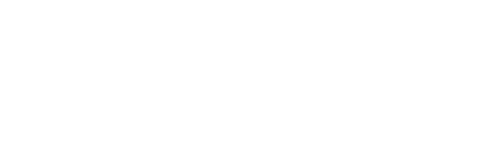 Sidney Fenoy logo